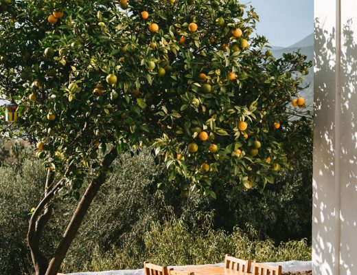 EAUde1974_geurenpagina_Capri_04-min-scaled