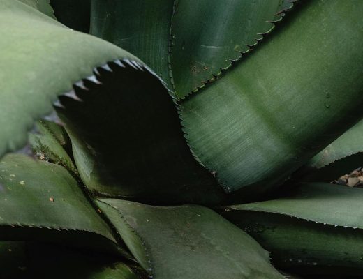 EAUde1974_lifestyle_moods_purchased_T1_Elements_172-27-scaled