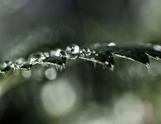 EAUde1974_lifestyle_moods_purchased_T1_Elements_172-3-scaled