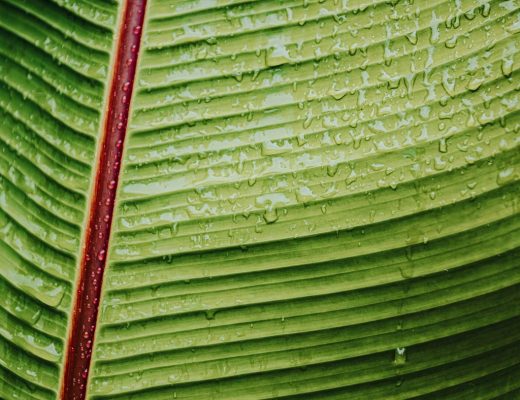 EAUde1974_lifestyle_moods_purchased_T1_Elements_172-6-scaled