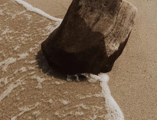 EAUde1974_lifestyle_moods_purchased_T3_Elements_28-scaled